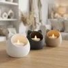 80+ Home Decor STL Pack | Modern Vases, Lamps & Decorative 3D Print Files